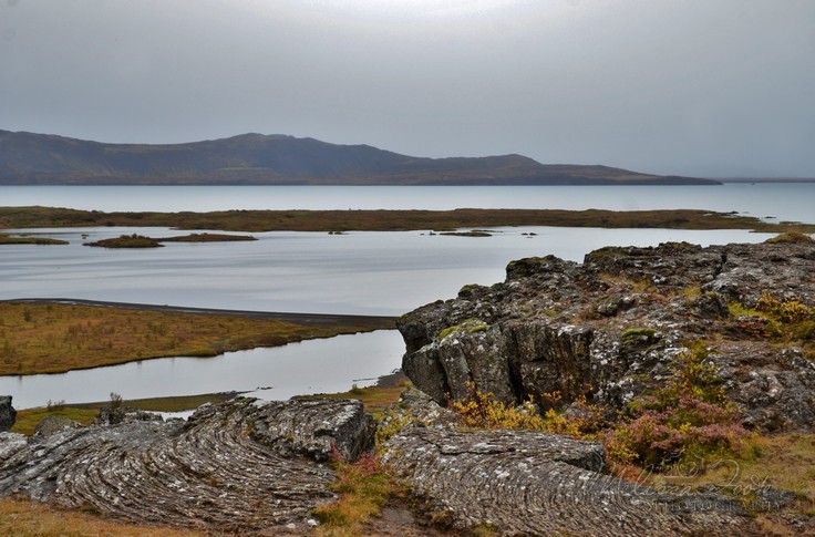 volcanic rocks at Þingvellir national park,
