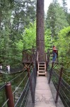 Tree top walk at Capilano Suspension Bridge Park